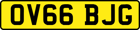OV66BJG