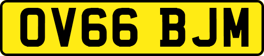 OV66BJM