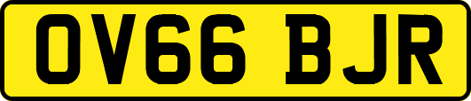 OV66BJR