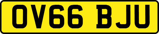 OV66BJU
