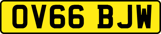 OV66BJW