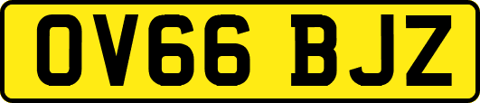 OV66BJZ