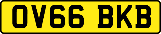 OV66BKB