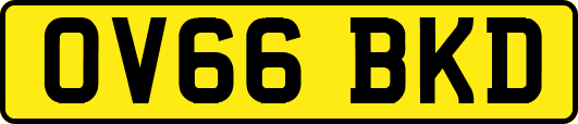 OV66BKD