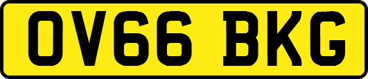 OV66BKG