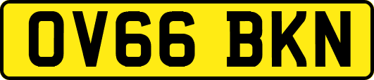 OV66BKN