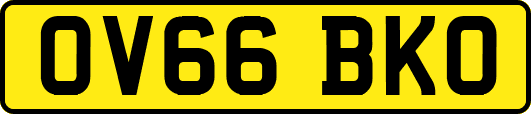 OV66BKO