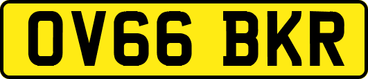OV66BKR
