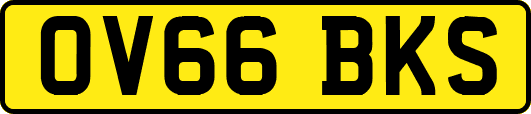 OV66BKS