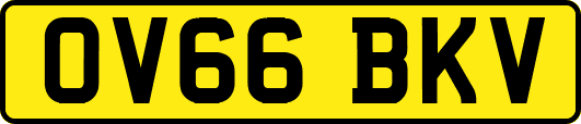 OV66BKV