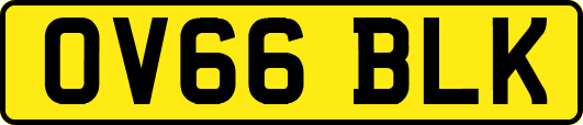OV66BLK
