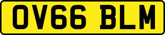 OV66BLM