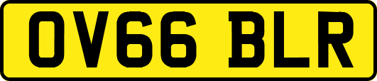 OV66BLR