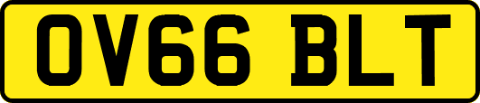 OV66BLT