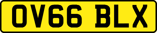 OV66BLX