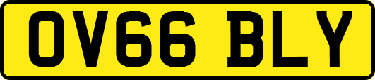 OV66BLY