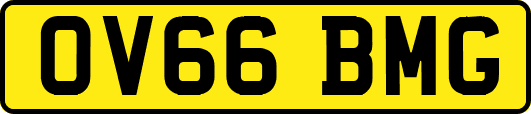 OV66BMG