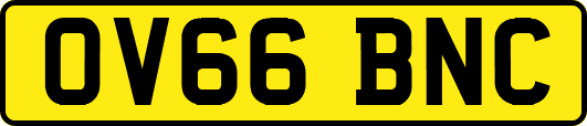 OV66BNC