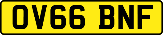 OV66BNF