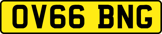OV66BNG