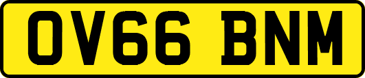 OV66BNM