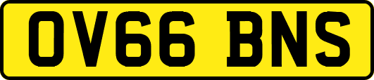 OV66BNS