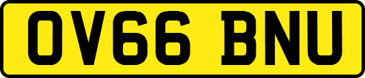 OV66BNU