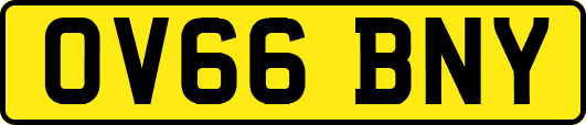 OV66BNY