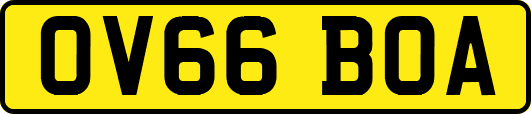 OV66BOA