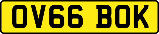 OV66BOK