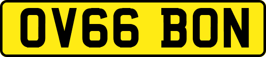 OV66BON