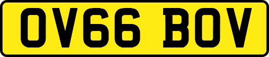 OV66BOV