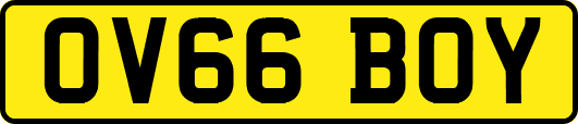 OV66BOY