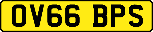 OV66BPS