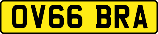 OV66BRA