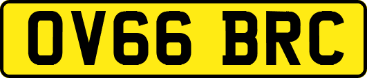 OV66BRC