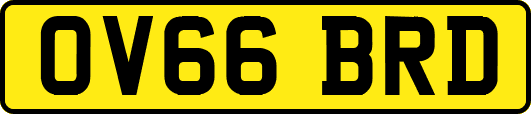 OV66BRD