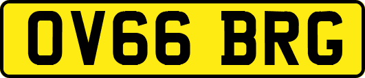 OV66BRG