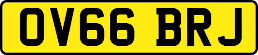 OV66BRJ