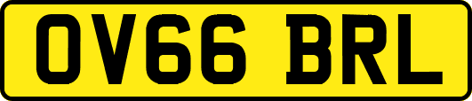 OV66BRL