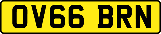 OV66BRN