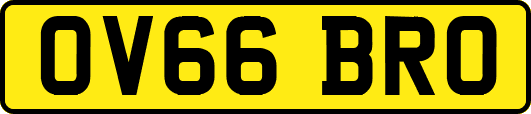 OV66BRO