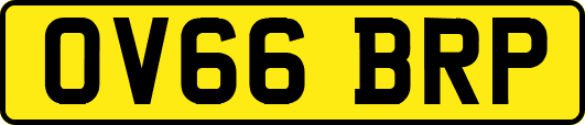 OV66BRP