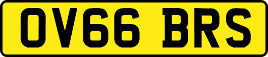 OV66BRS
