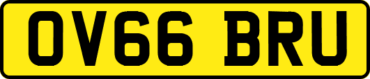 OV66BRU