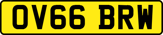 OV66BRW