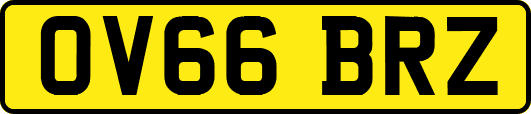 OV66BRZ