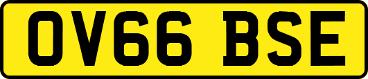 OV66BSE