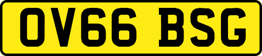 OV66BSG