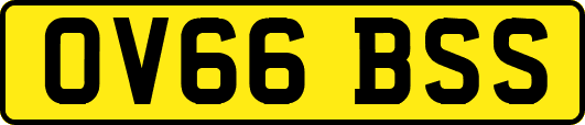 OV66BSS